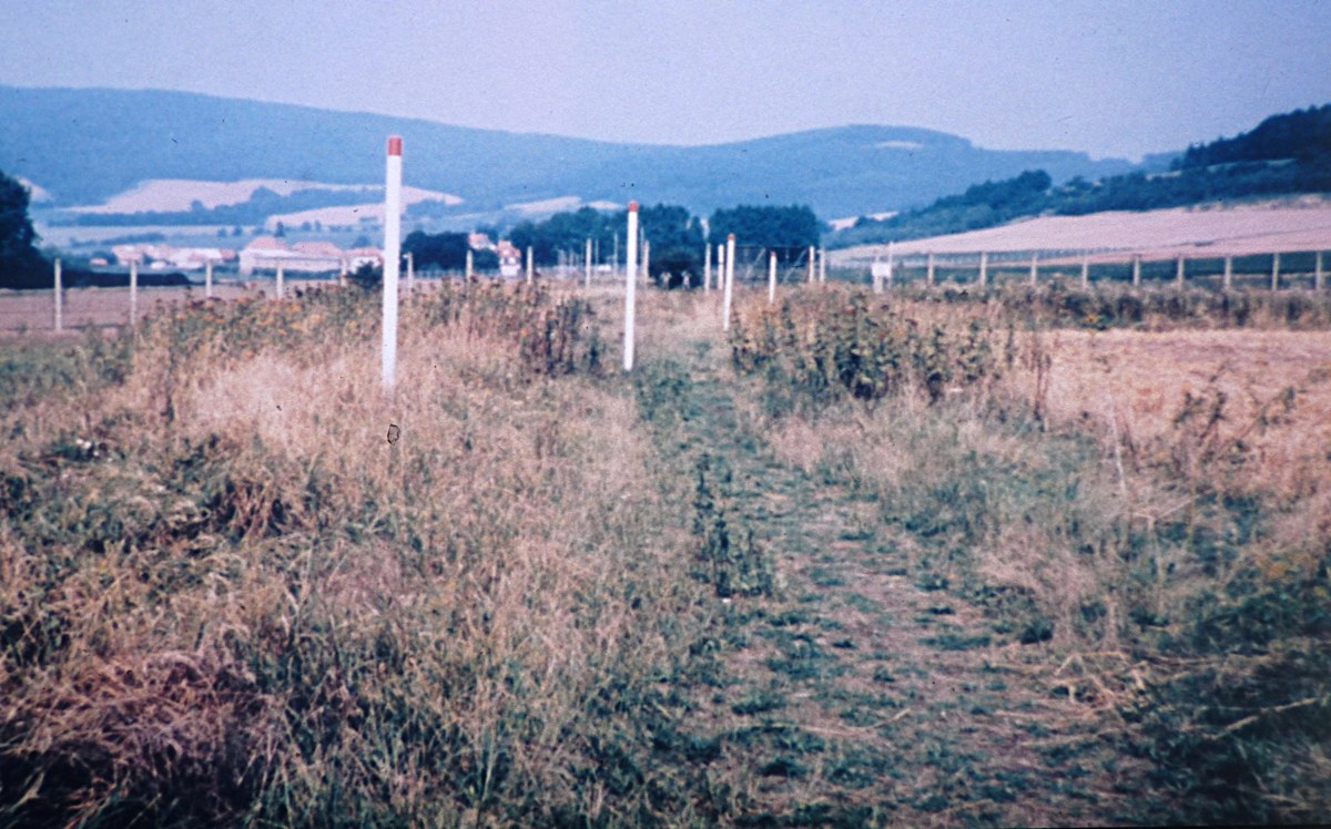 12. November 1989