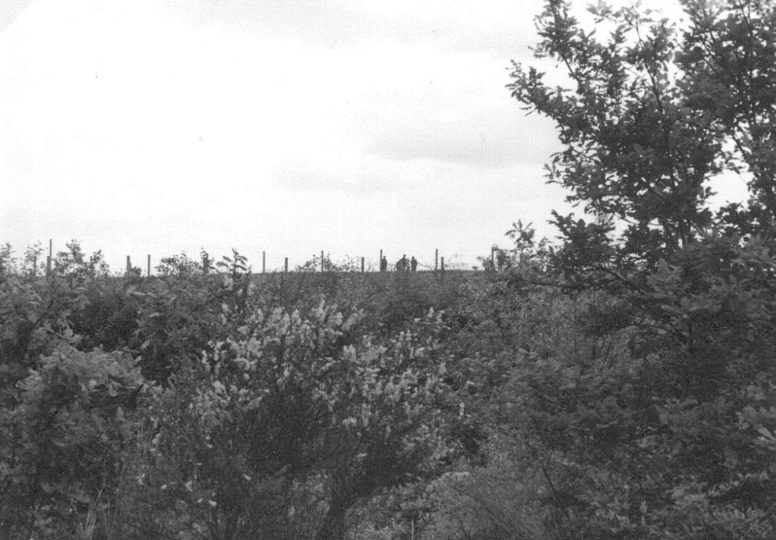 Zonengrenze 1965 3